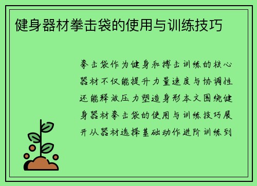 健身器材拳击袋的使用与训练技巧