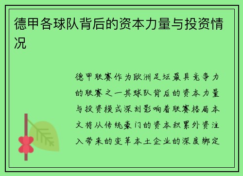 德甲各球队背后的资本力量与投资情况